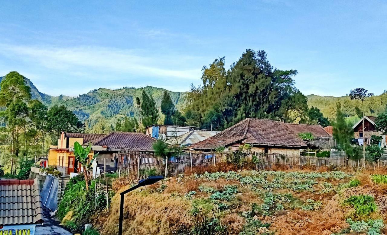 Homestay Anggun Bromo Luaran gambar